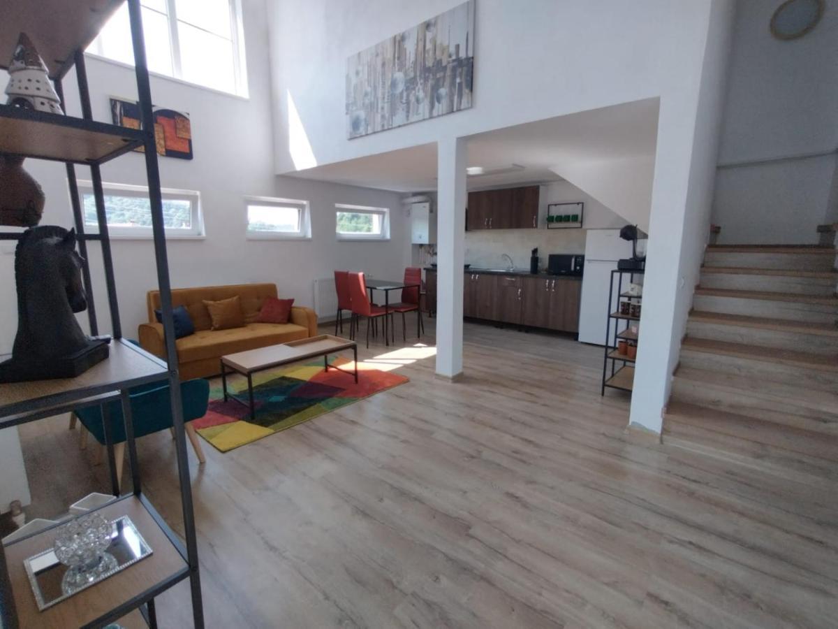 Apartament Alyosha Sighişoara Eksteriør billede