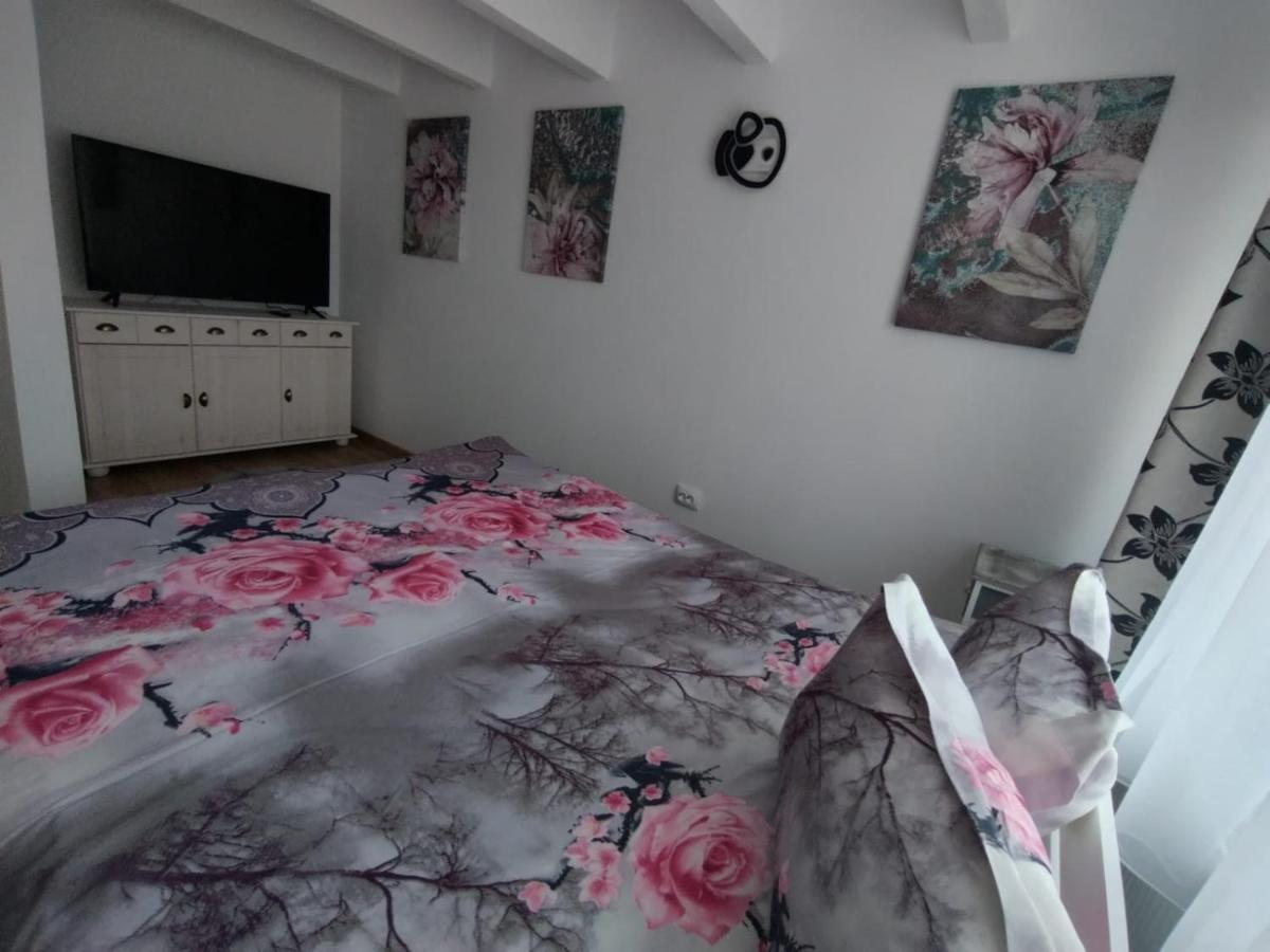 Apartament Alyosha Sighişoara Eksteriør billede
