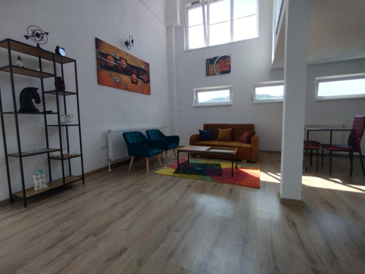 Apartament Alyosha Sighişoara Eksteriør billede